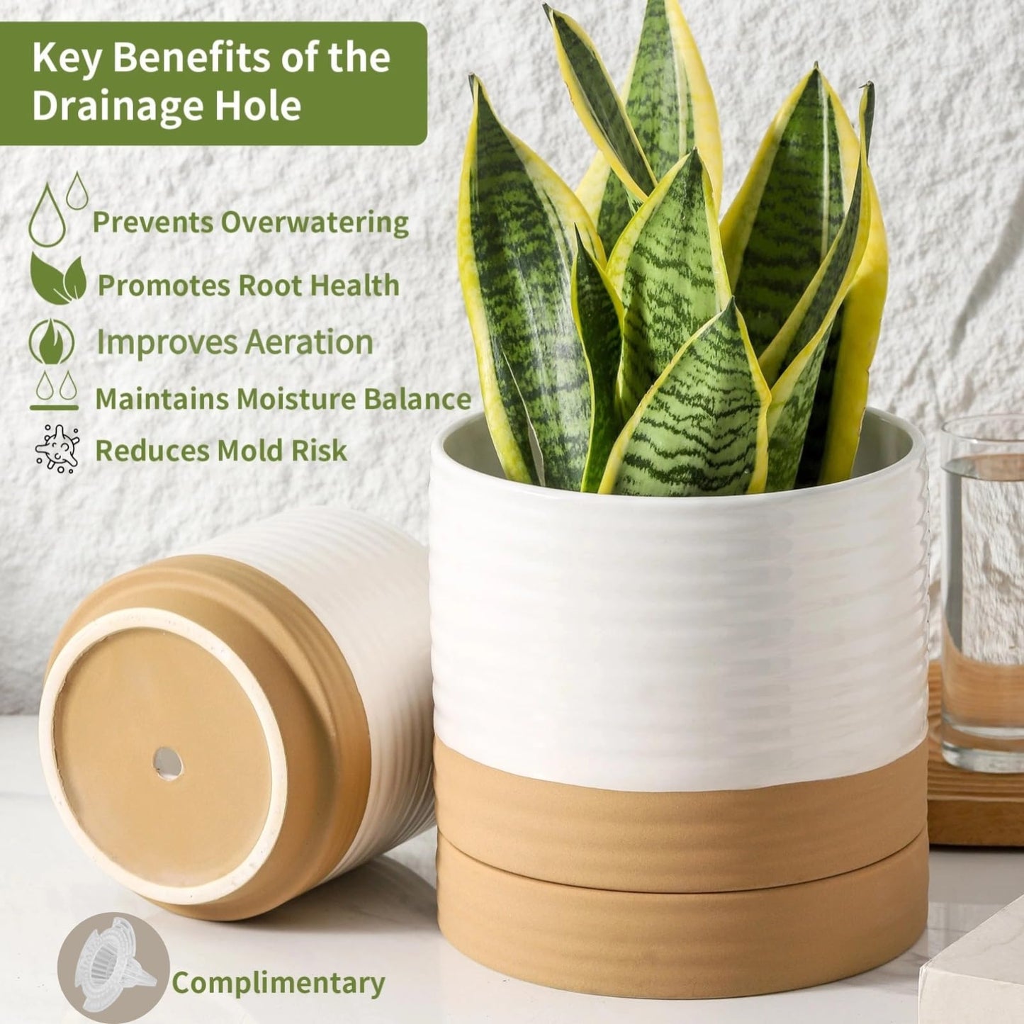 HASENSE Ceramic Plant Pot with Saucer, 6 Inch Planter White Flower Pot for Succulents,for Indoor Plants with Drainage Hole, Snake Plants & Cactus, Modern Decor Gift for Mom