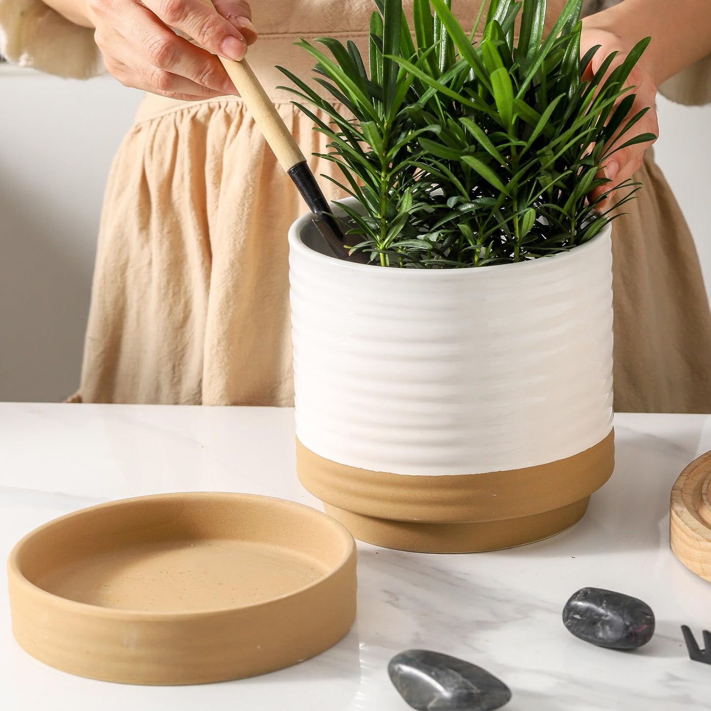 HASENSE Ceramic Plant Pot with Saucer, 6 Inch Planter White Flower Pot for Succulents,for Indoor Plants with Drainage Hole, Snake Plants & Cactus, Modern Decor Gift for Mom