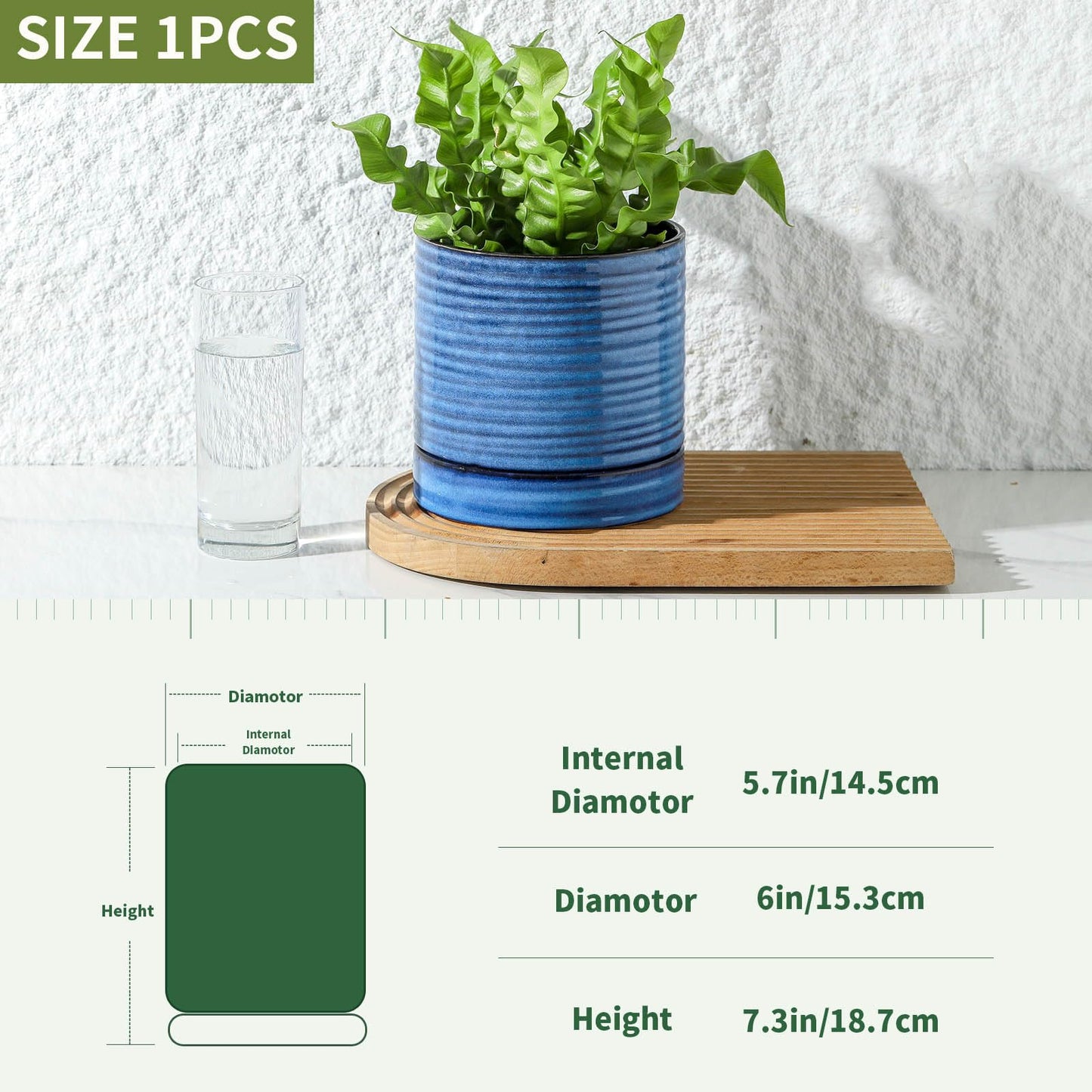 HASENSE Ceramic Plant Pot with Saucer, 6 Inch Planter White Flower Pot for Succulents,for Indoor Plants with Drainage Hole, Snake Plants & Cactus, Modern Decor Gift for Mom