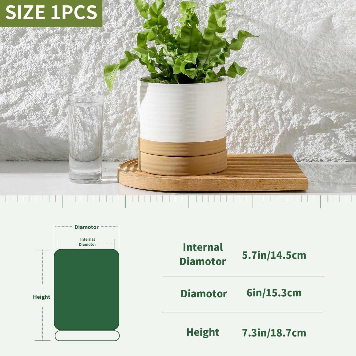 HASENSE Ceramic Plant Pot with Saucer, 6 Inch Planter White Flower Pot for Succulents,for Indoor Plants with Drainage Hole, Snake Plants & Cactus, Modern Decor Gift for Mom